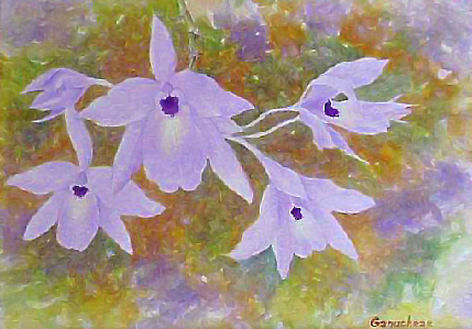 Laelia rubescense art painting cattleya orchid