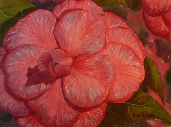 Camellia original art watercolor floral flower painting pink
