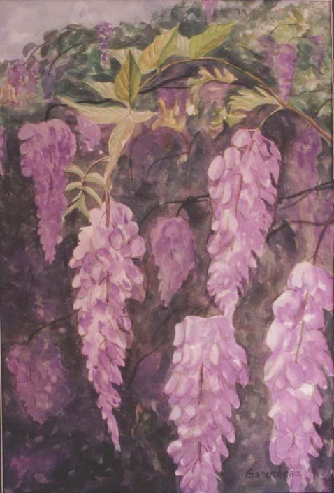 wisteria watercolor painting art a tangle of wild wisteria vines
