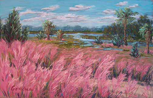Flamingo Grass, (Purple Muhly) at Helen Floyd Park, Little Jetties, Mayport, Jacksonville, Florida