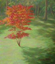 pastel painting of a red maple tree in early summer