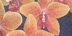 gallery of giclee art prints