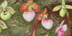 Art gallery of orchid art prints